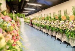 花篮网爆料最新网站,最新网站幕后故事大曝光