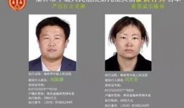 榆林高科城爆料案件最新,揭秘背后真相与最新进展